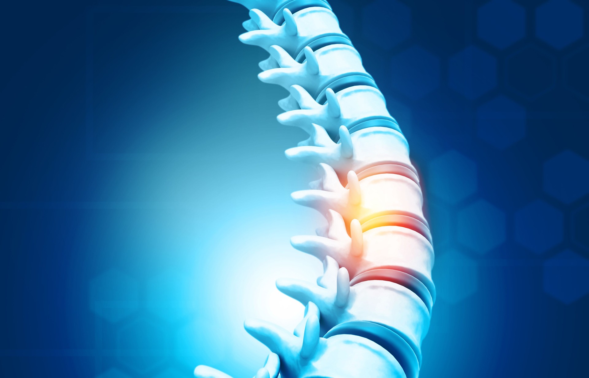 Human spine, vertebrae anatomy